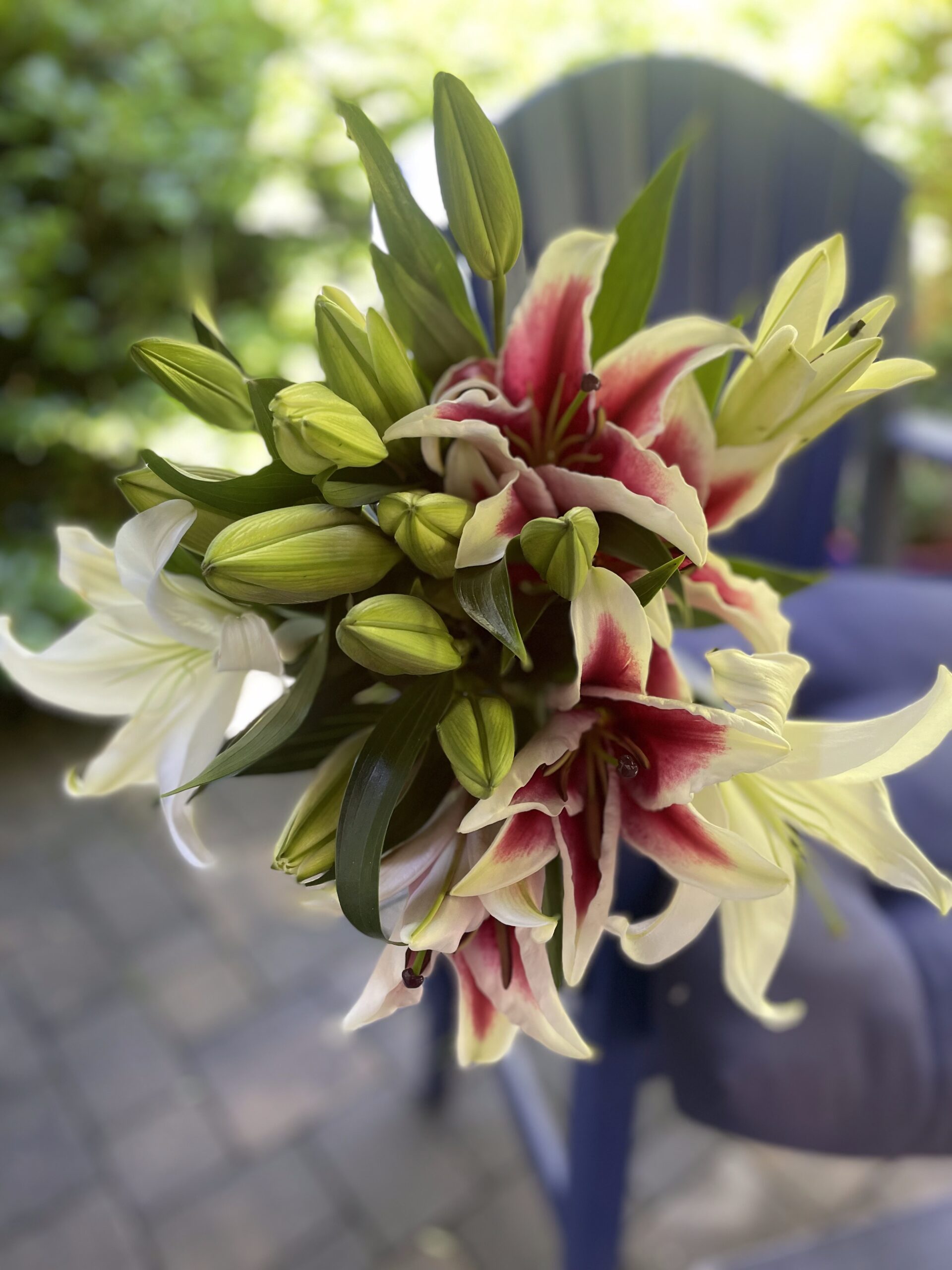 Lily bouquets