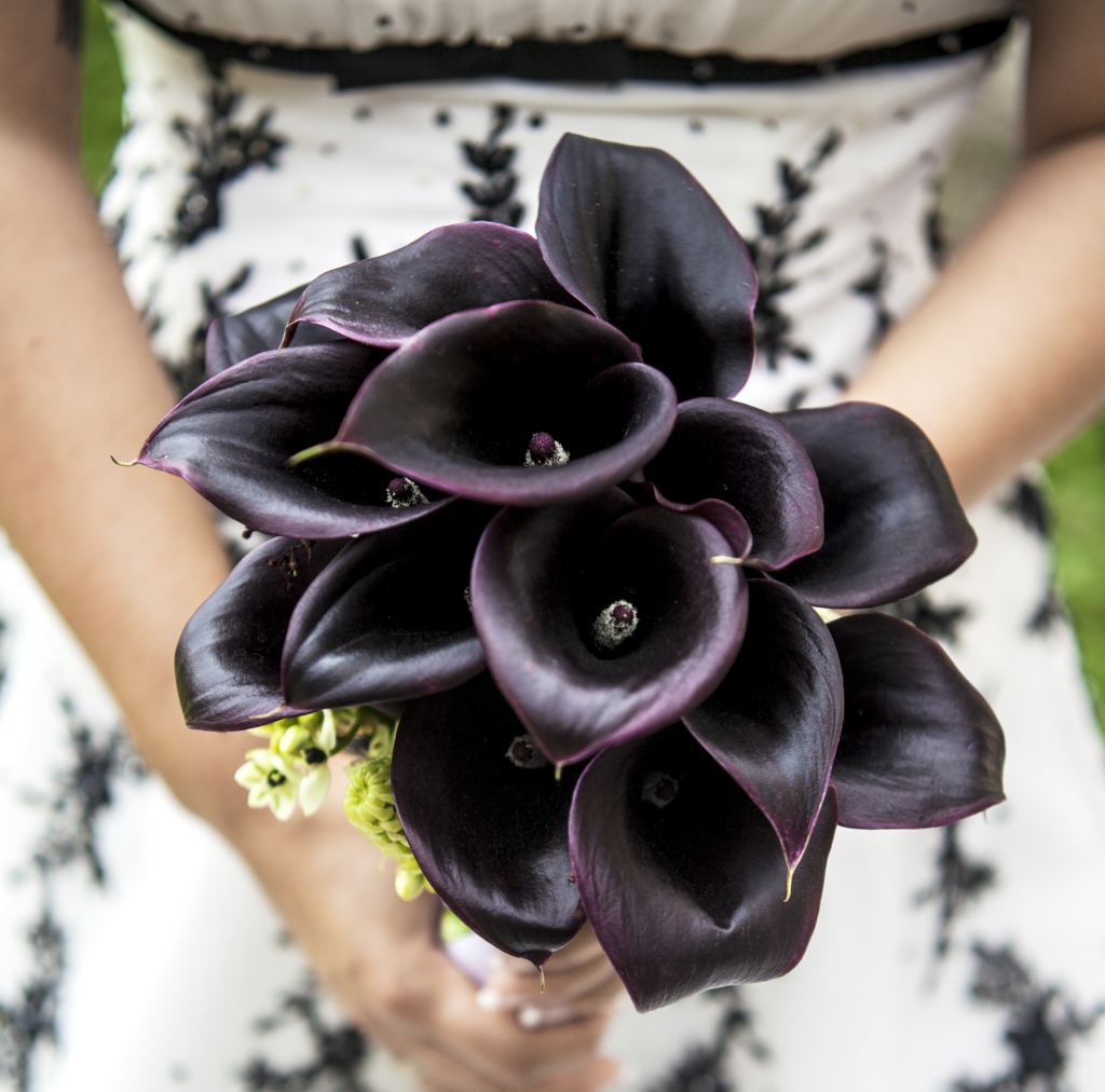 Black Calla Lilies; bridal bouquets