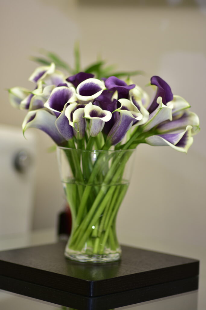 Purple and bi-color calla lilies; arrangement