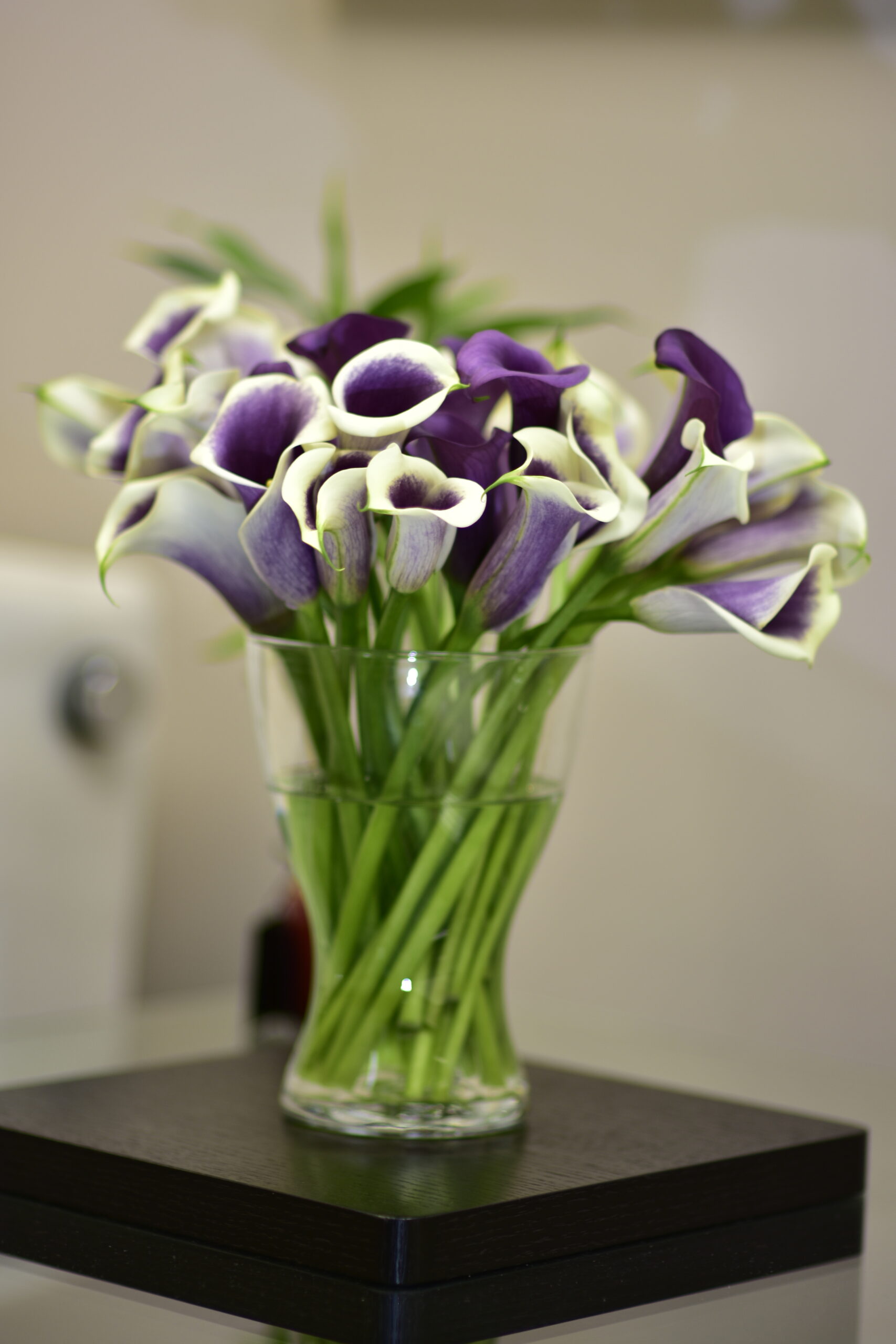 Purple and bi-color calla lilies; arrangement