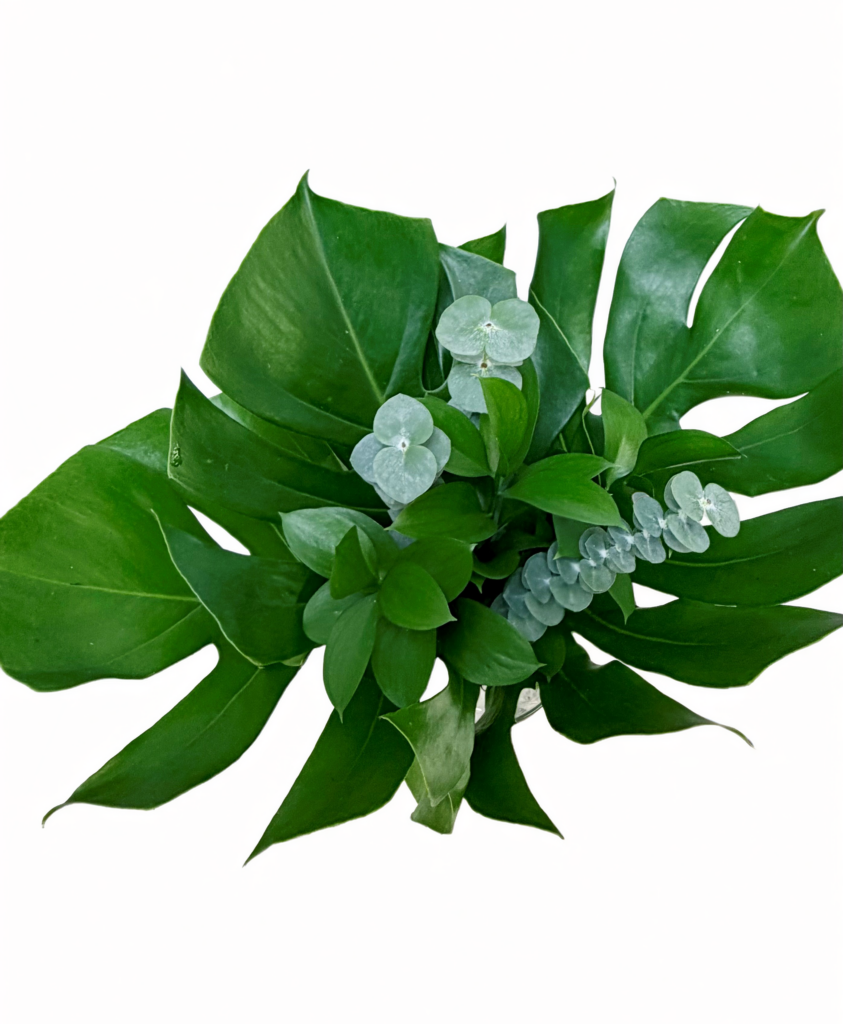 Greenery, bouquet filler