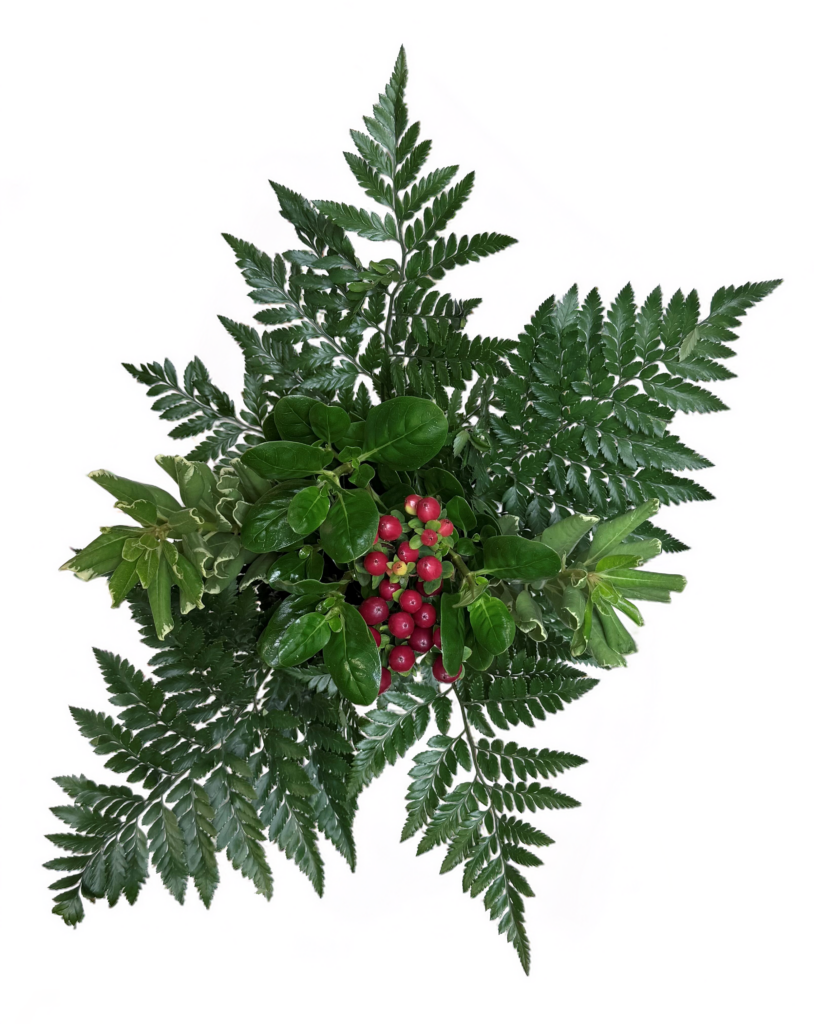 greenery bouquets, bouquet filler, ferns, eucalyptus