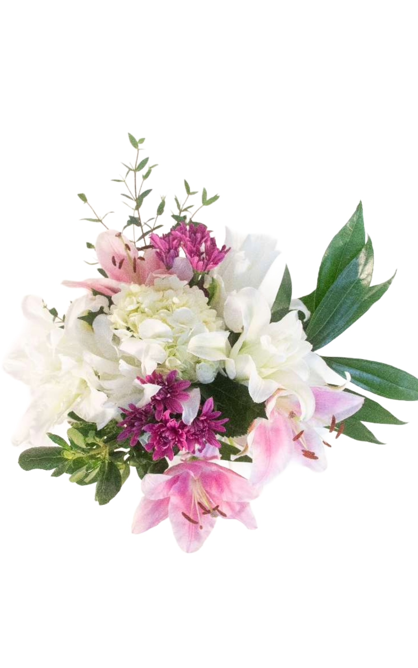 Garden Bloom, lilies, hydrangea, floral bouquets, seasonal blooms near me.
