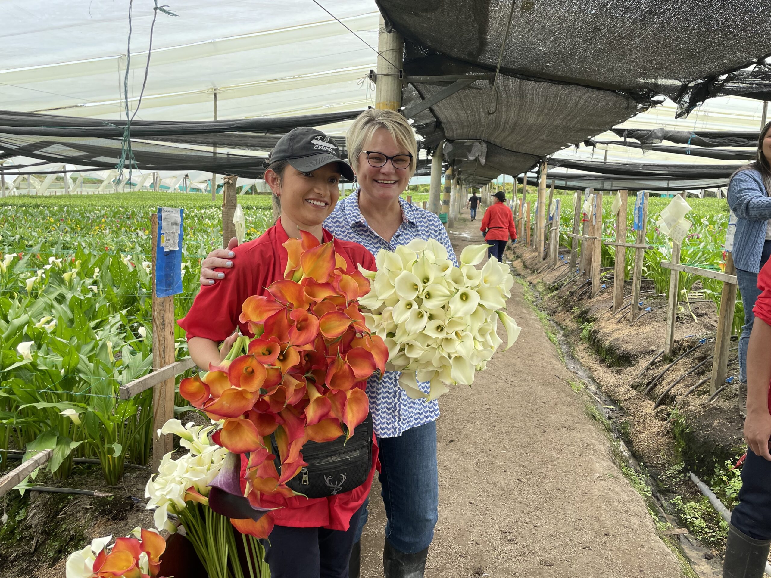 Calla Lilies on the farm. picture of the farm team.